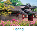 spring