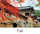 fall